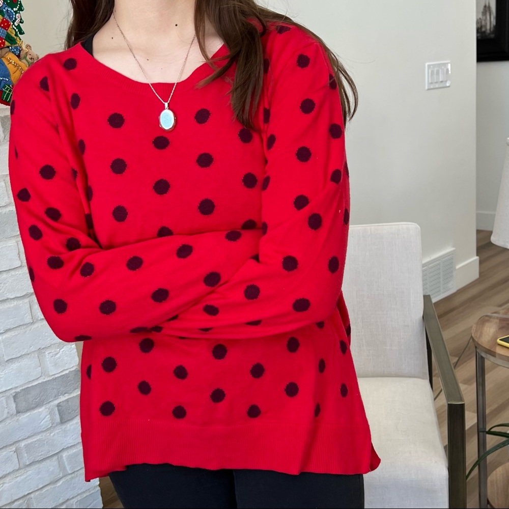 Old Navy Lady Bug sweater